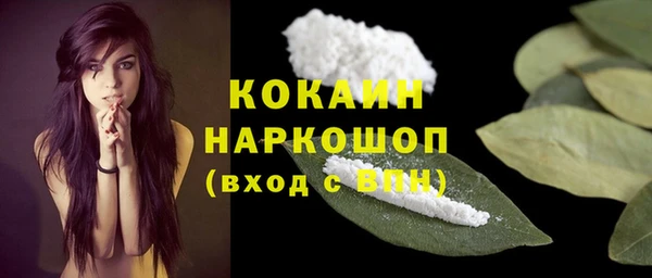 соль ск Верея