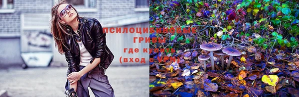 каннабис Верхний Тагил