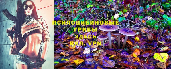соль ск Верея