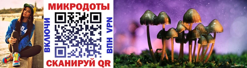 Купить закладки  Ковылкино  Галлюциногенные грибы прущие грибы 